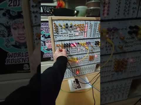 Nonlinearcircuits It's 555 2021 - Gold & White image 2