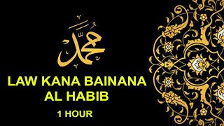 Download lagu Law Kana Bainana Al Habib [1 hour version] | (Malaysia) mp3