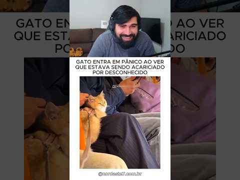Ele percebendo que não era o dono fazendo carinho 😂