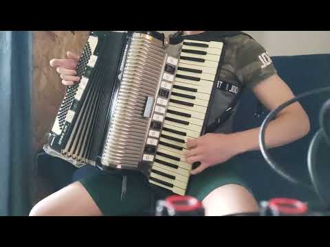 Zorica Marković - Kad te život zaboli (harmonika)