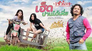 เฮ็ดปานได้เหี่ย – เฟิร์น กัญญารัตน์
