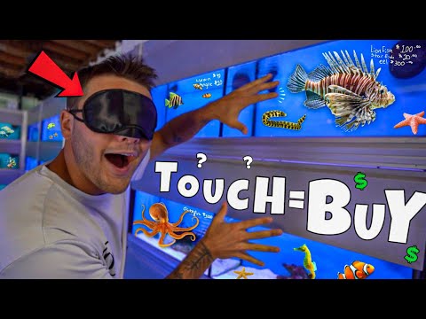 SALTWATER FISH SHOPPING SPREE BLINDFOLDED!! (new fish)