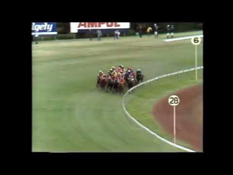 Kensei - Melbourne Cup 3200m 1987 - Ridden by Larry Olsen, Trained by Les Bridge