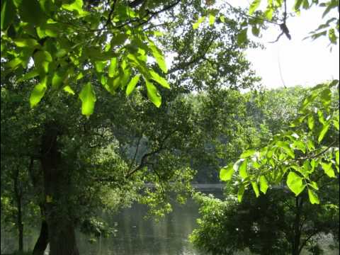 Lipe Cvatu Mix - by Ivan Tucakov