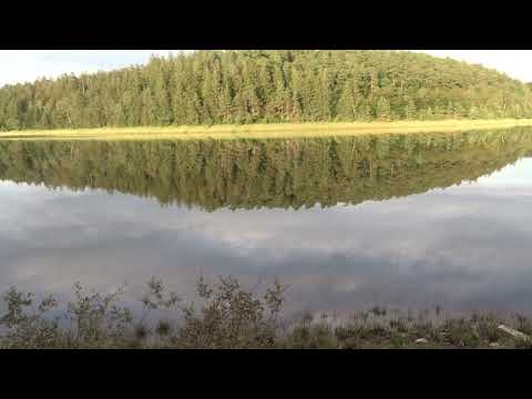 Naturparadies Europa-Eupener Talsperre Ostbelgien