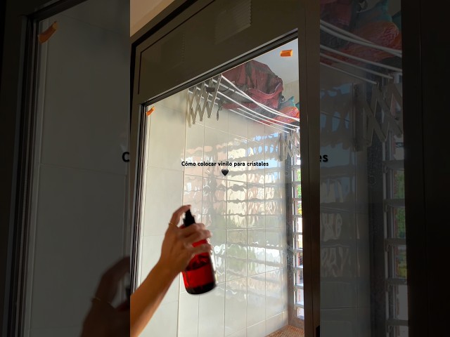 Vídeo relacionado con 6 Piezas Colibríes Se Aferra a Ventana Adhesivos de Ventana Anticolisión Calcomanías para Evitar Golpes de Pájaros en Ventana Adhesivo de Vinilo no Adhesivo de Vidrio Colibrí Pegatinas (6 Piezas)