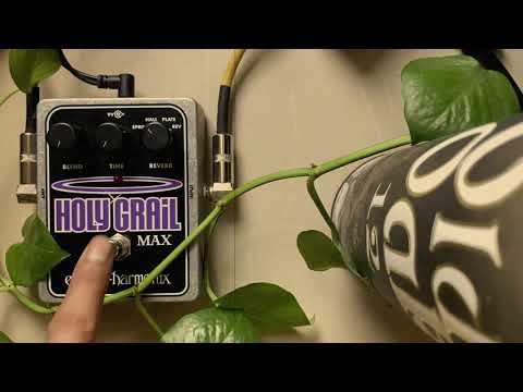 Electro-Harmonix Holy Grail Max Reverb 2014 - Present - Black / Purple / Gray image 2