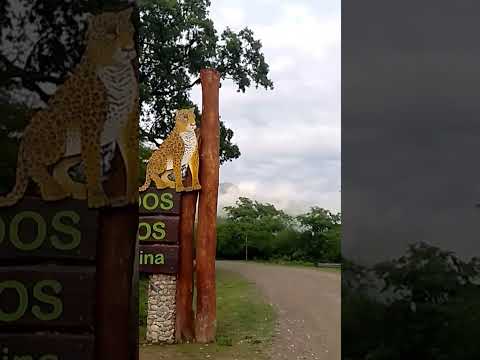 Camino a los toldos salta argentina 🏞️