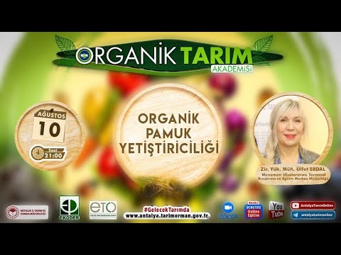 , title : 'Organik Tarım Akademisi-36 Organik Pamuk Yetiştiriciliği Ziraat Yüksek Mühendisi Ülfet Erdal'
