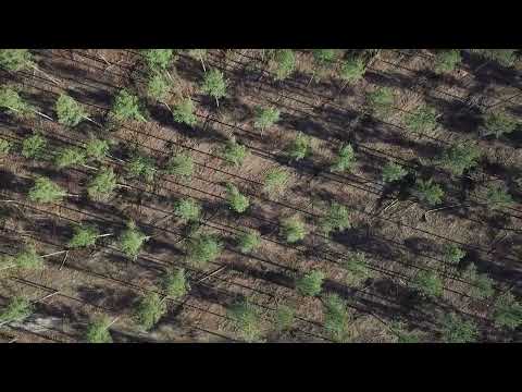 Archive 28 Video thumbnail