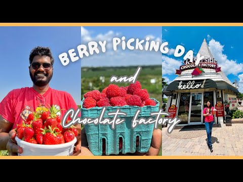 Berry Picking at Heider's Berry Farm| Riverside Chocolate Factory |Filipino Indian Couple in USA