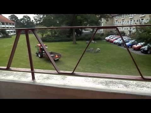 MongoTV_031 - Traktortræf Ved Olsens Altan