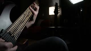 Video thumbnail for Direct Input 8 string metal riff on a beautiful pale moon ebony fretboard (Legator N8FX Nexus) by SinysterSounds