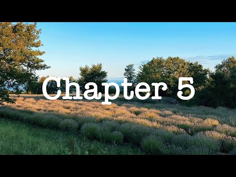 Slovenian Mountain Trail | Chapter 5: Hiking North from the Adriatic Sea