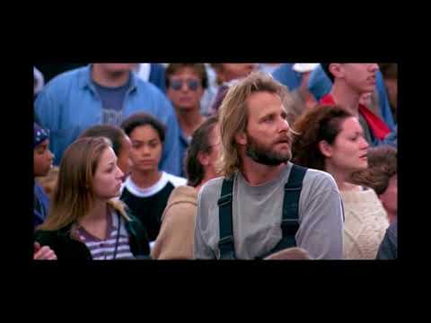 Fly Away Home - Successful Migration