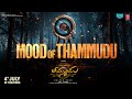 Mood Of Thammudu ThammuduOnJuly4th Nithiin Sriram Venu Raju Shirish