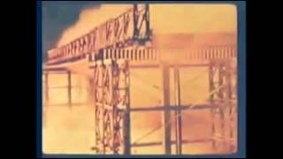 Iggy & the Stooges, Till the End of the Night