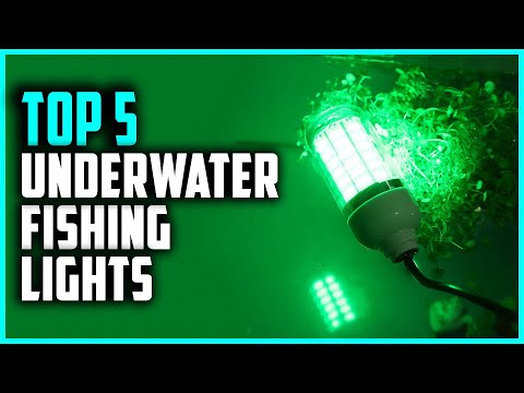 Top 5 Best Underwater Fishing Lights in 2024