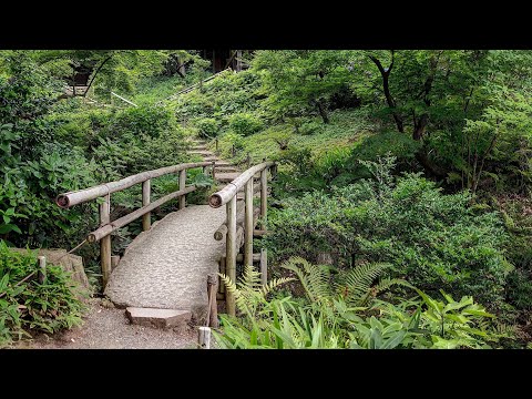 Guided Meditation – Unknowing Meditation