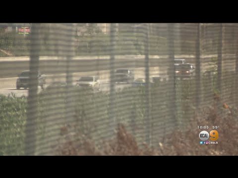91 Freeway Shooting