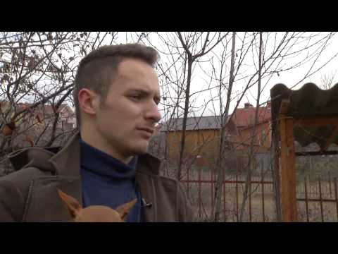 Fisi I Faunes - Episodi 11