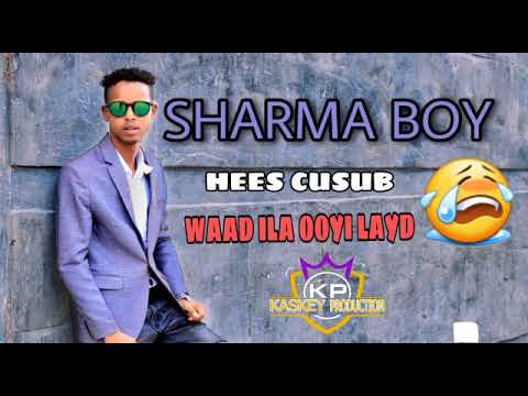 SHARMA BOY HEES CUSUB WAAD ILA OOYI LAYD OFFICIAL AUDIO 2020