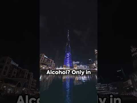 Are You Planning a Trip to Dubai Better Check This First DNC Travel Guide