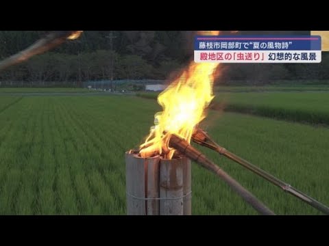 YouTube Video たいまつをたいて火の中に飛び込む害虫を駆除し、豊作を願う伝統行事「虫送り」は夏の風物詩 静岡・藤枝市岡部町