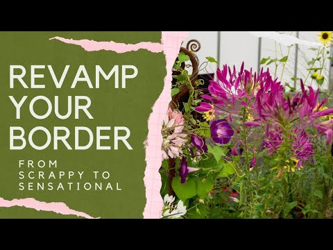 Designing a new border - top tips from garden experts