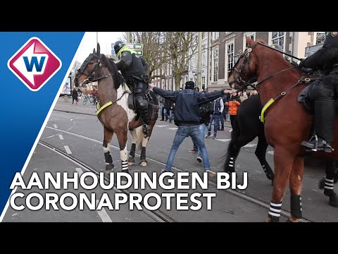 Politie aangevallen na demonstratie Den Haag - OMROEP WEST
