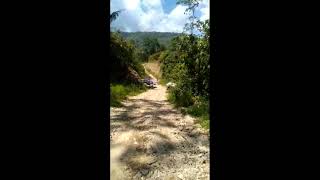 Download lagu Angkut springbed Menggunakan Motor Bebek## mp3