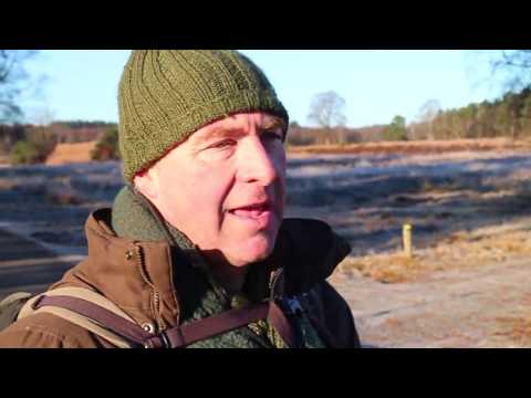 Schaapherder en kudde van de Loenermark