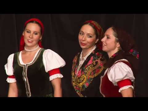 Pěvecký sbor Fogáš