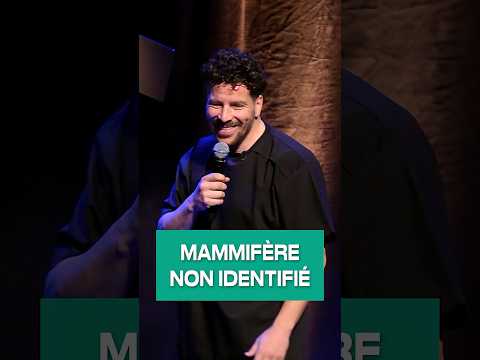 MAMMIFÈRE NON IDENTIFIÉ - Redouane Bougheraba #humour #standup #humoristefrancais