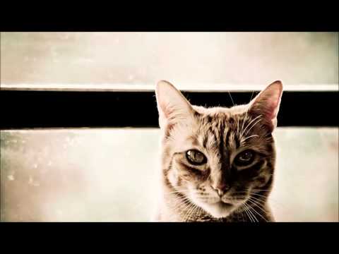 Author - Jah Live (feat Dan Man)