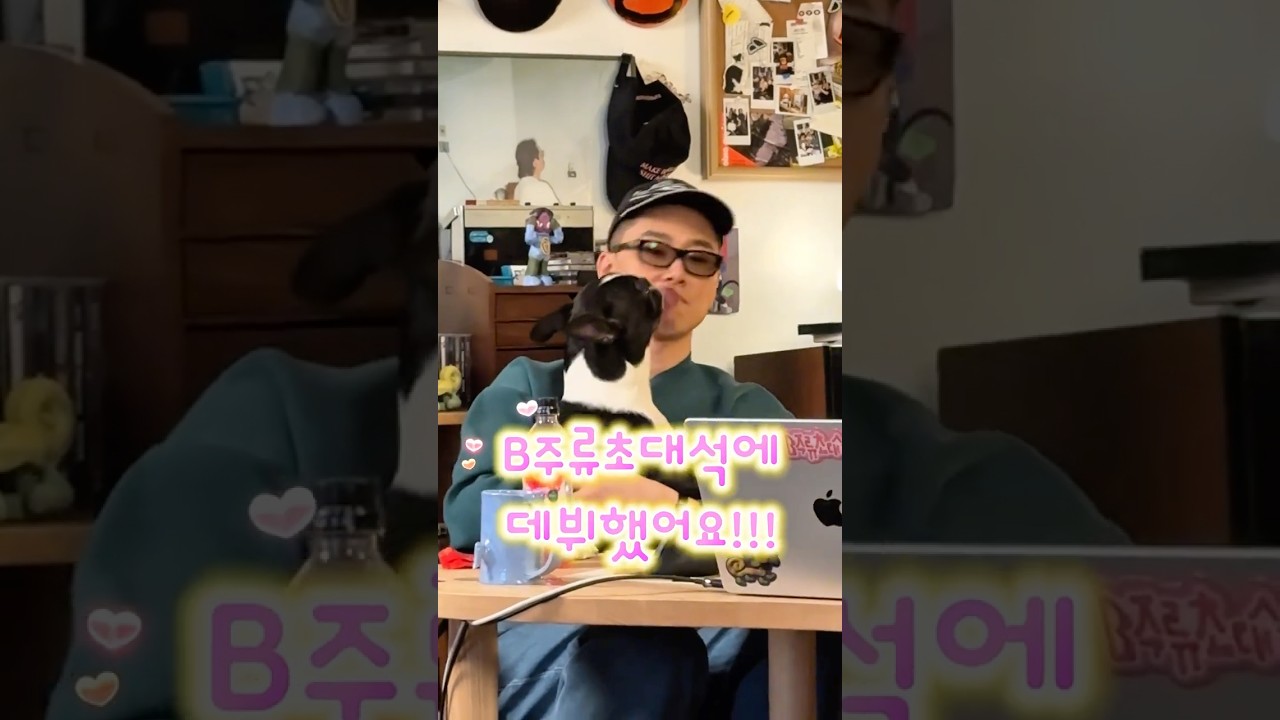 (vlog) B주류초대석 촬영장에 방문한 강아지들