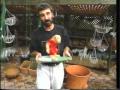 NWS9 Burke S Backyard Promo