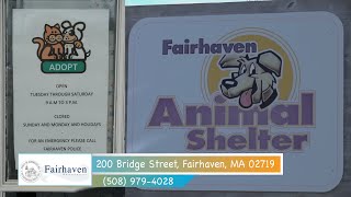 Adopt-A-Pet March 2020