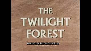 The Twilight Forest