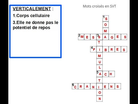 Maîtrise des connaissances sous forme de mots croisés