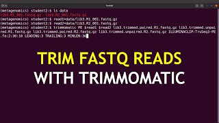 Trimmomatic paired end trimming | Trimmomatic tutorial