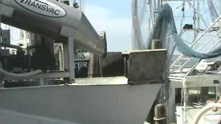 preview picture of video 'TRANSVAC 2445- Wild Shrimp- Grand Isle, LA, USA'