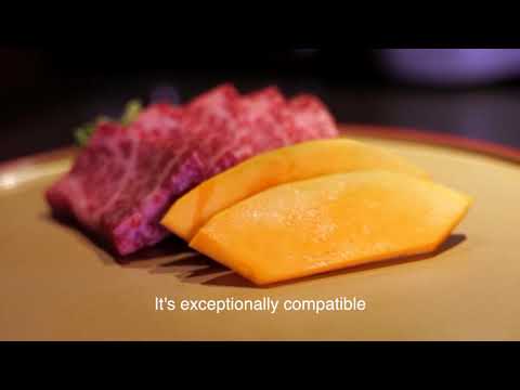 Shiki Statesville Menu
