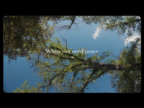 When You Need Peace