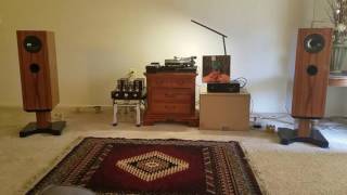 Ascendo C8 Renassaince: Andrew Bird's "Truth Lies Low"