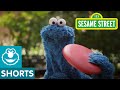 Sesame Street Catch All New Episodes Of Sesame Street