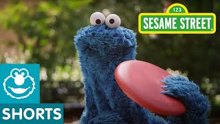 Sesame Street: Catch Us Every Morning&Afternoon!