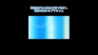 プ◯キュアみたいなグラちゃん【ホロライブ切り抜き/がうるぐら】