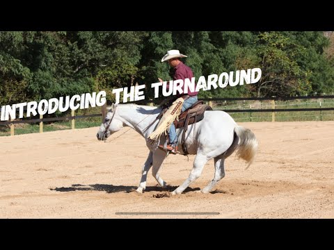 How to Introduce your horse to the Turnaround