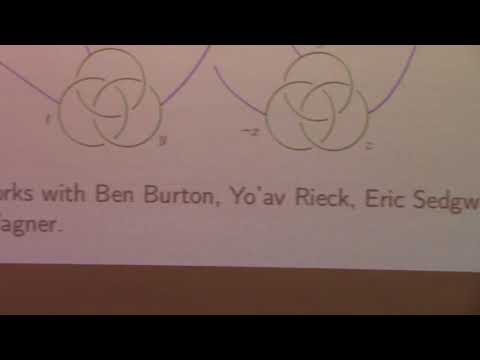 Arnaud de Mesmay (CNRS) - Hard embedding problems in three dimensions